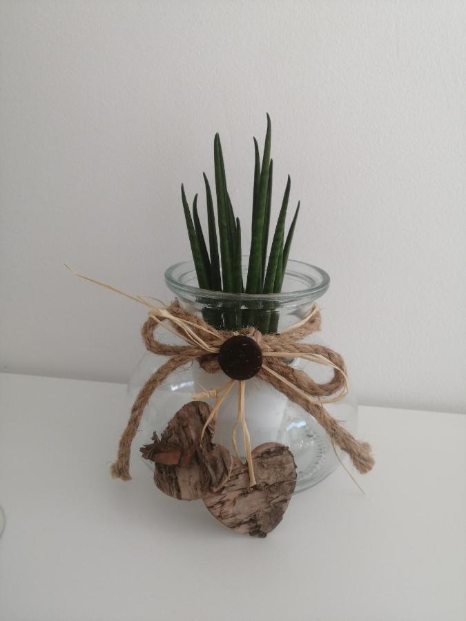Apartma Pinea Portorož Zewnętrze zdjęcie