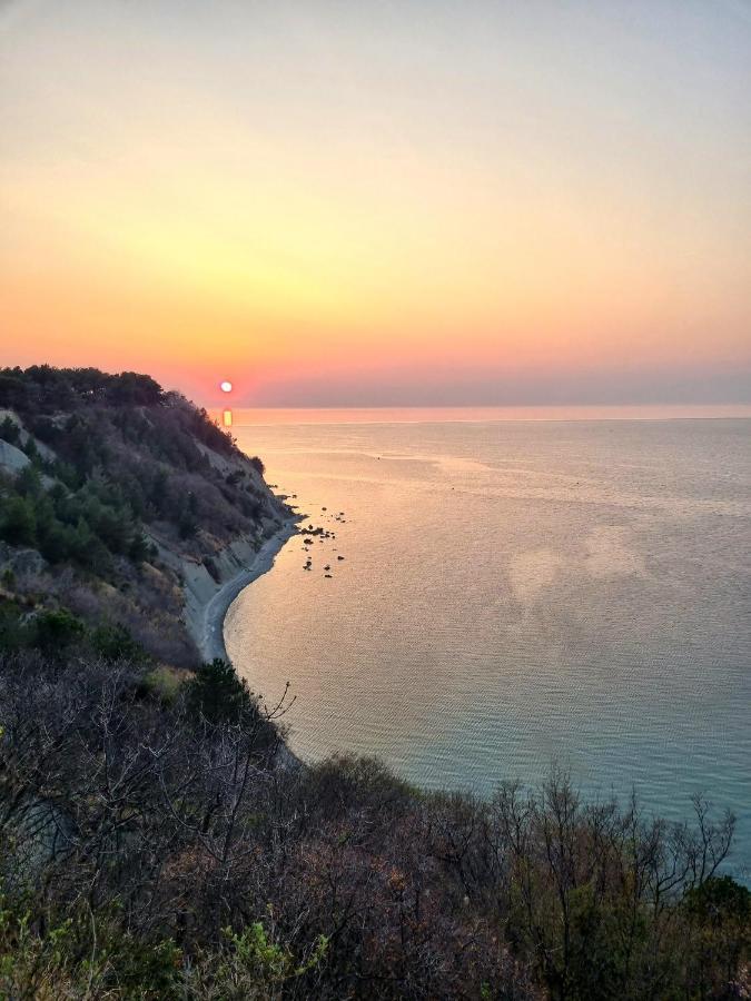 Apartma Pinea Portorož Zewnętrze zdjęcie
